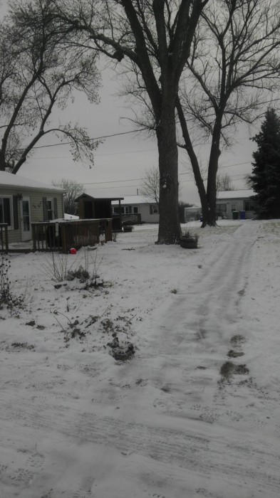One stretch of sidewalk I have to shovel.